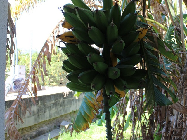 Foto 13