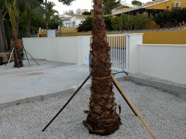 Foto 6