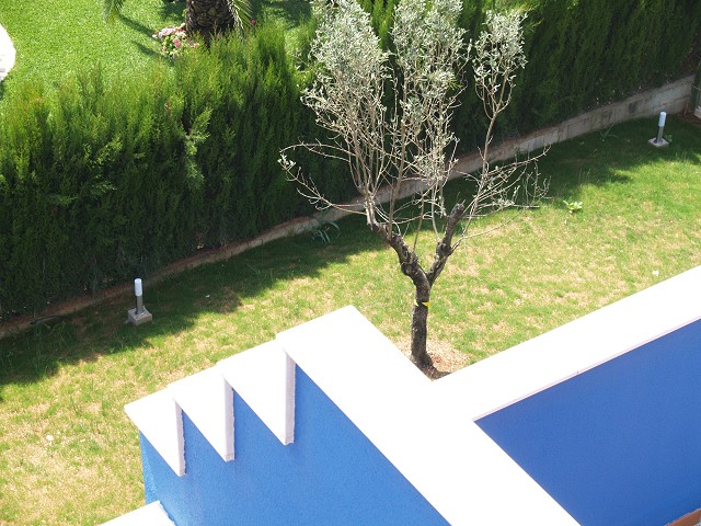 Foto 15
